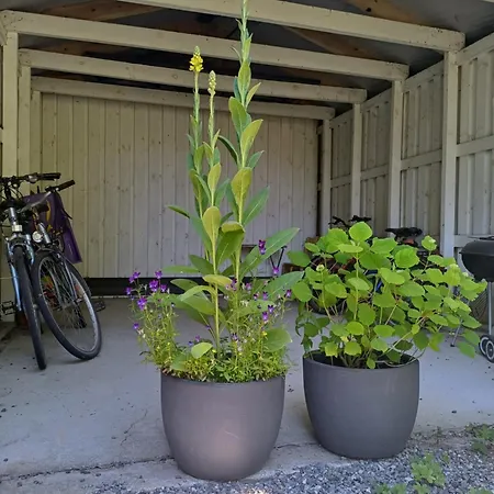 Tuule Сasa de vacaciones *