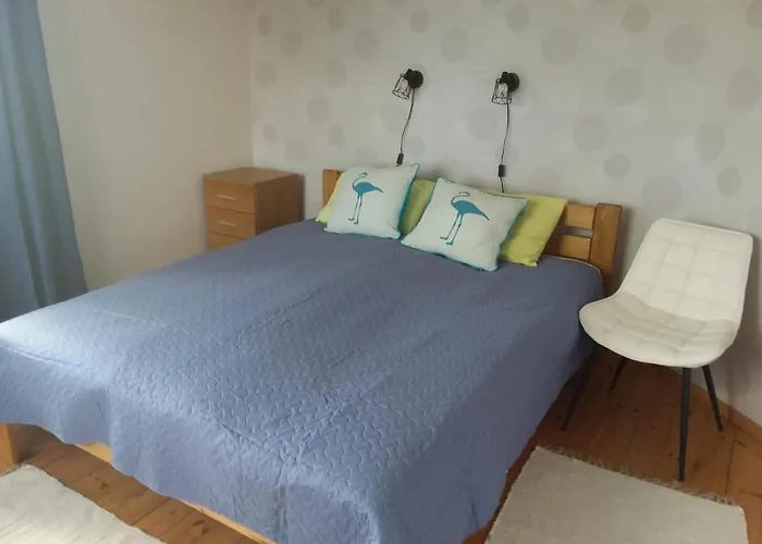 Tuule 쿠레사아레