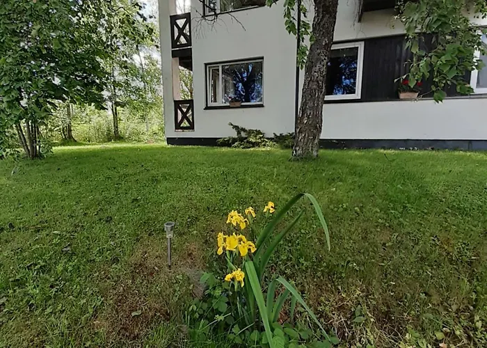 Tuule 쿠레사아레