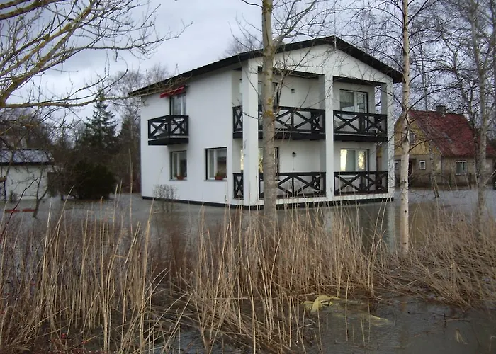 Tuule 쿠레사아레