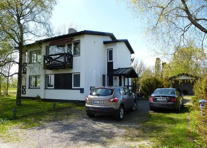 Tuule 쿠레사아레